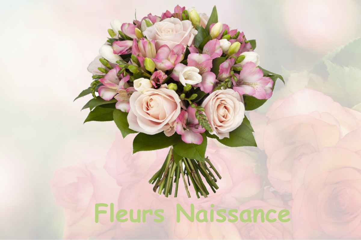 fleurs naissance BEAUCHAMPS-SUR-HUILLARD