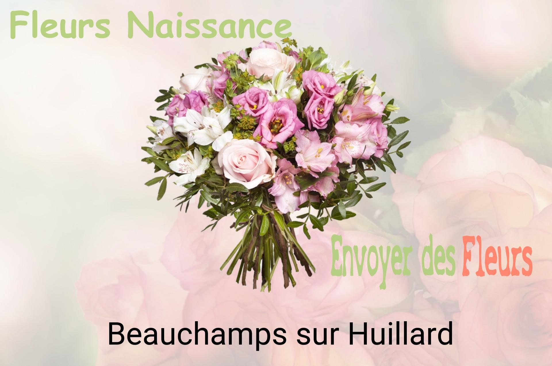 Bouquet de fleurs de naissance livré à Beauchamps-sur-Huillard
