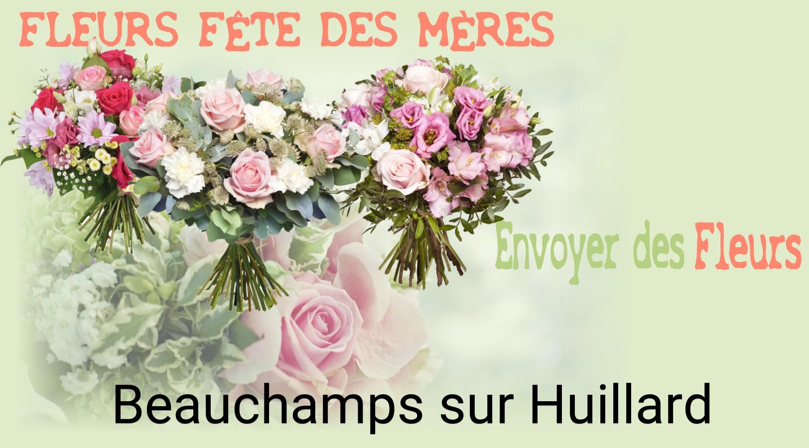 Bouquet de Fête des Mères livré à Beauchamps-sur-Huillard