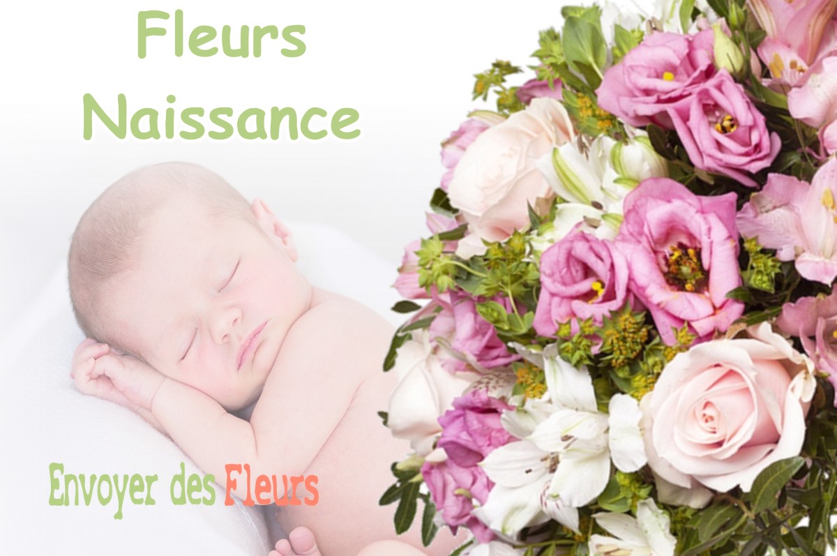 lIVRAISON FLEURS NAISSANCE à BEAUCHAMPS-SUR-HUILLARD